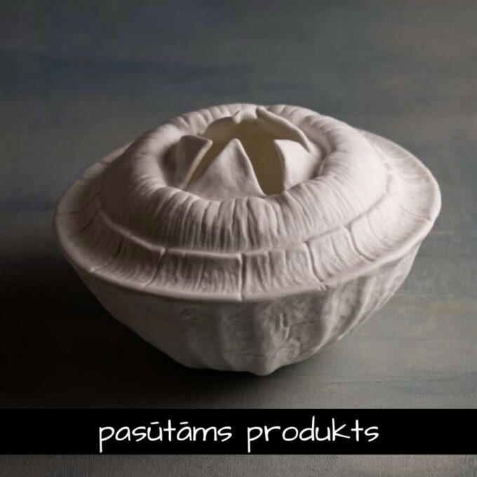 Porcelāna vāze 'Eikalipta auglis' balta / 3gab.