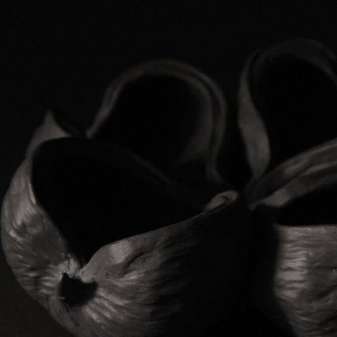 Porcelāna trauks 'Tropu kastanis' melns - Image 3