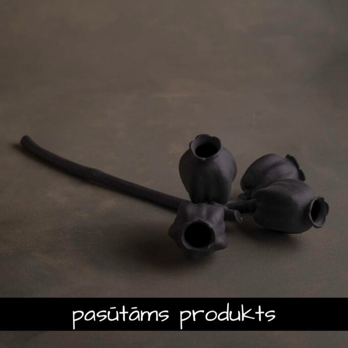 Porcelāna 'Eikalipts' melns / 2 gab.