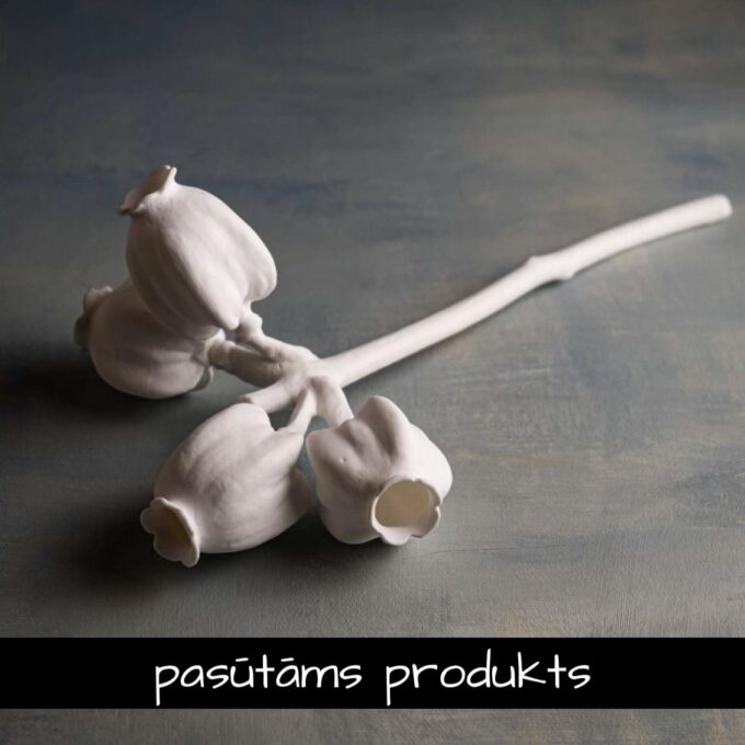 Porcelāna 'Eikalipts'  balts / 2 gab.