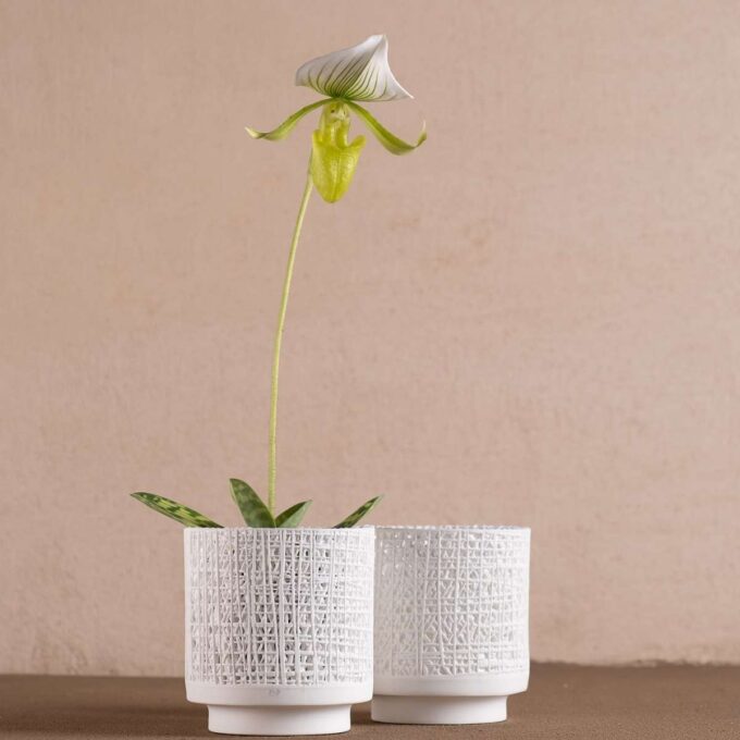 Porcelāna trauks / svečturis 'organic' mazs / 2gab. - Image 2