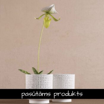 Porcelāna trauks / svečturis 'organic' mazs / 2gab.