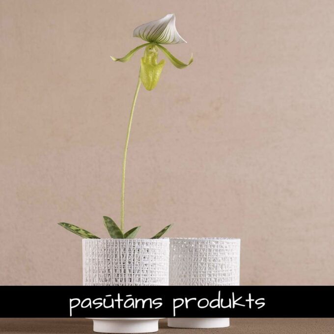 Porcelāna trauks / svečturis 'organic' mazs / 2gab.